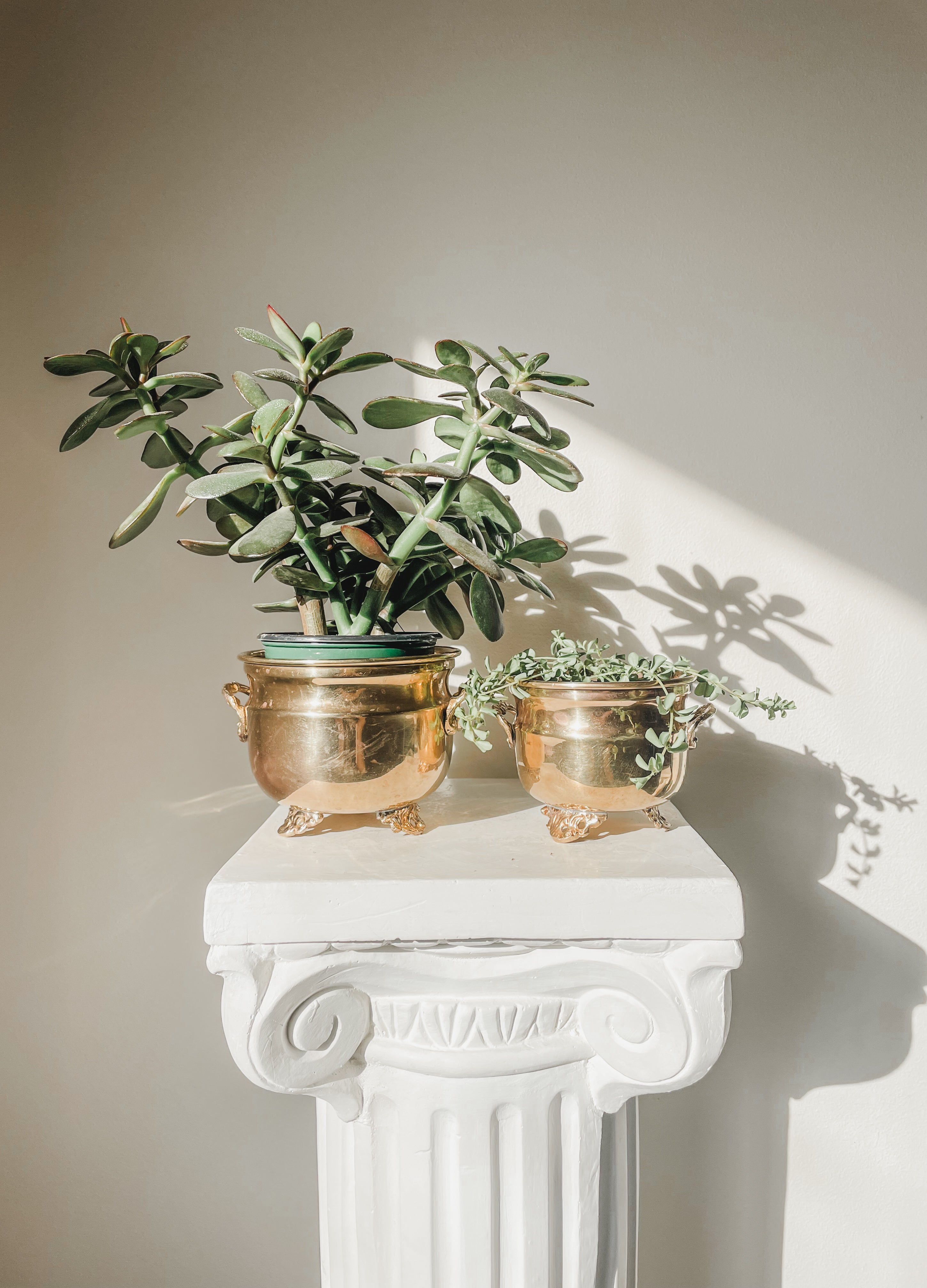 VINTAGE BRASS FOOTED PLANTERS