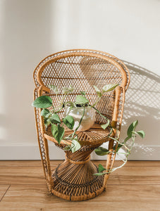 Mini peacock discount chair plant stand